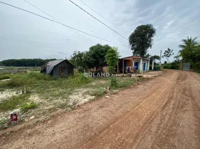 Bán đất thổ cư 167.3m² , giá 550 triệu tại, Xã Tân Phú, Huyện Tân Châu, Tây Ninh