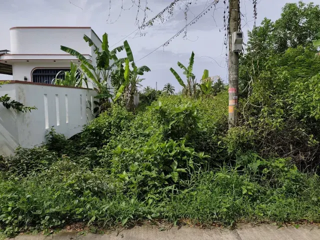 Chỉ 599 triệu đất thổ cư view sông TT. mỹ xuyên, sóc trăng