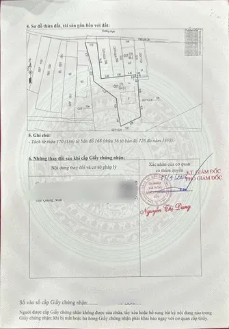Hàng hiếm ngay trung tâm bãi cháy