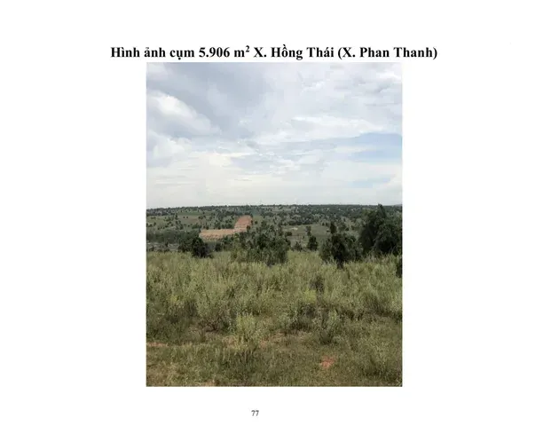 11. Cụm 5.906 m2 X. Hồng Thái (X. Phan Thanh) Vị trí đất : Link THÔNG TIN LÔ ĐẤT ● Hướng: Tây Bắc.