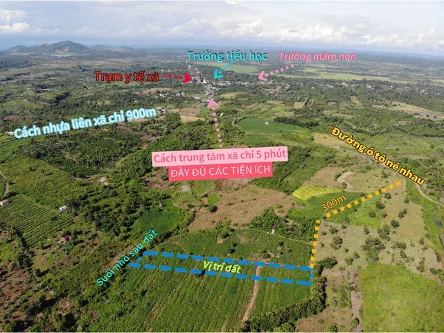 Kèo ngộp xuất hiện: 299 triệu cho 4.000M² ea M’droh - cư M’gar
