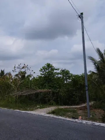 Bán Đất 14000m2 giá 7.8 tỷ tại Trường Long Tây Cần Thơ