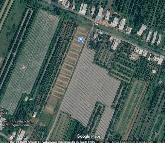 Bán Đất 1100m2 giá 800 triệu tại Xã Trường Thắng Huyện Thới Lai Cần Thơ