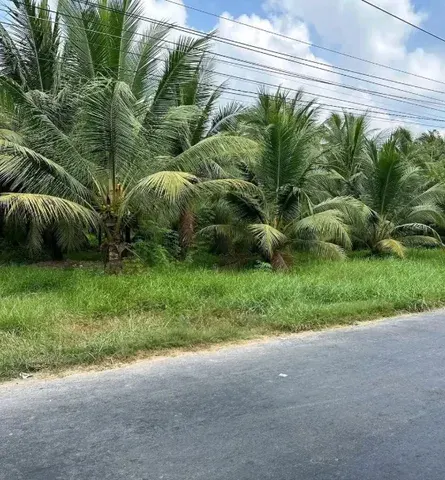 Bán 2430m2 mặt tiền đại mong có sẵn 2200M2 thổ cư, giá 17.9 tỷ
