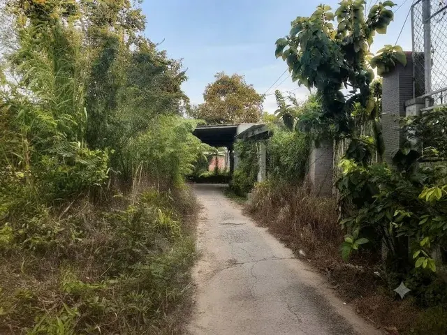 VL4-70 | 162,7m² (60,3m² TC) | Đông Nam | 1,5 tỷ