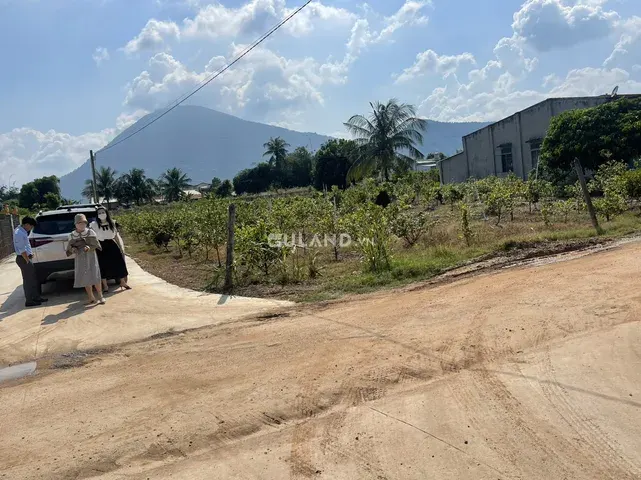 Chính chủ Bán 2 lô đất hàng ngộp giá chỉ 4xx