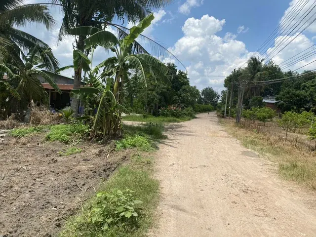 Bán bán đất nông nghiệp 1000m² , giá 350 triệu tại, Xã Tân Hội, Huyện Tân Châu, Tây Ninh