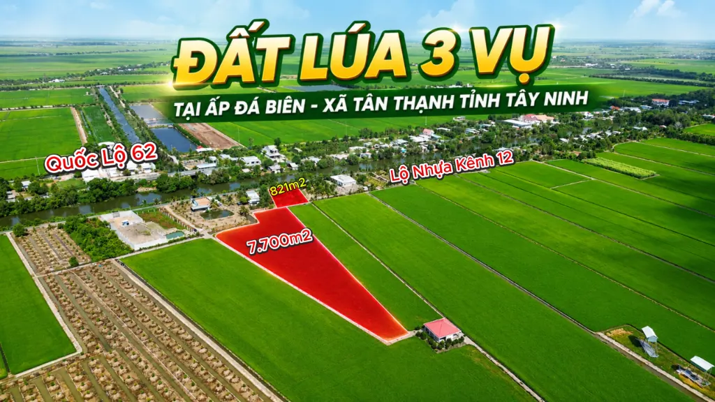 Bán đất lúa kiến bình, long an, 7,7 công 3 vụ, kèm 821m² nền mặt tiền kênh 12