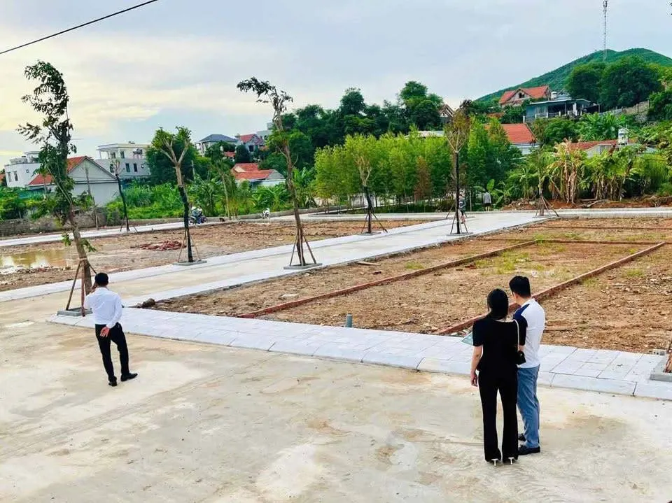 Quỹ đất thổ cư tại hạ long ,sẵn sổ, nằm kề bên đại đô thị vin hạ long xanh 6200ha