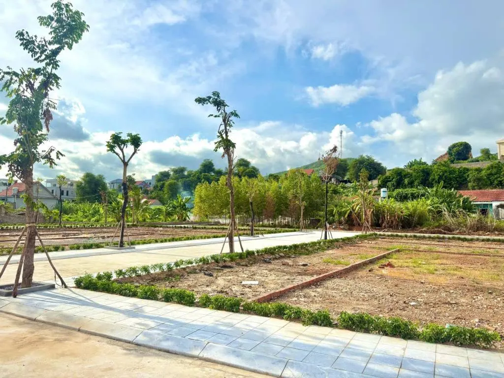 Bán đất gần vin hạ long xanh, tuần châu, quảng ninh, dt 75m2, giá tốt 2,6 tỷ