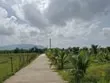 Cho thuê đất vườn dừa – diện tích 1.967 m²