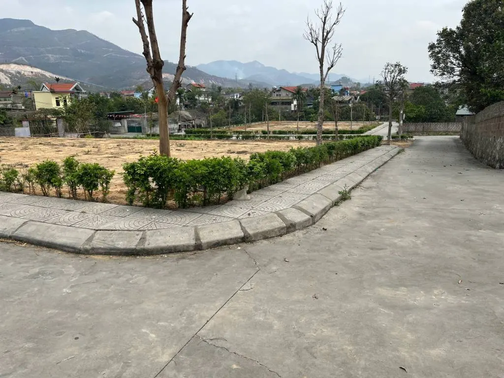 Bán đất Mạo Khê Đông Triều Quảng Ninh, dt 1000m² gần Đại học Công nghiệp giá 12 triệu/m²