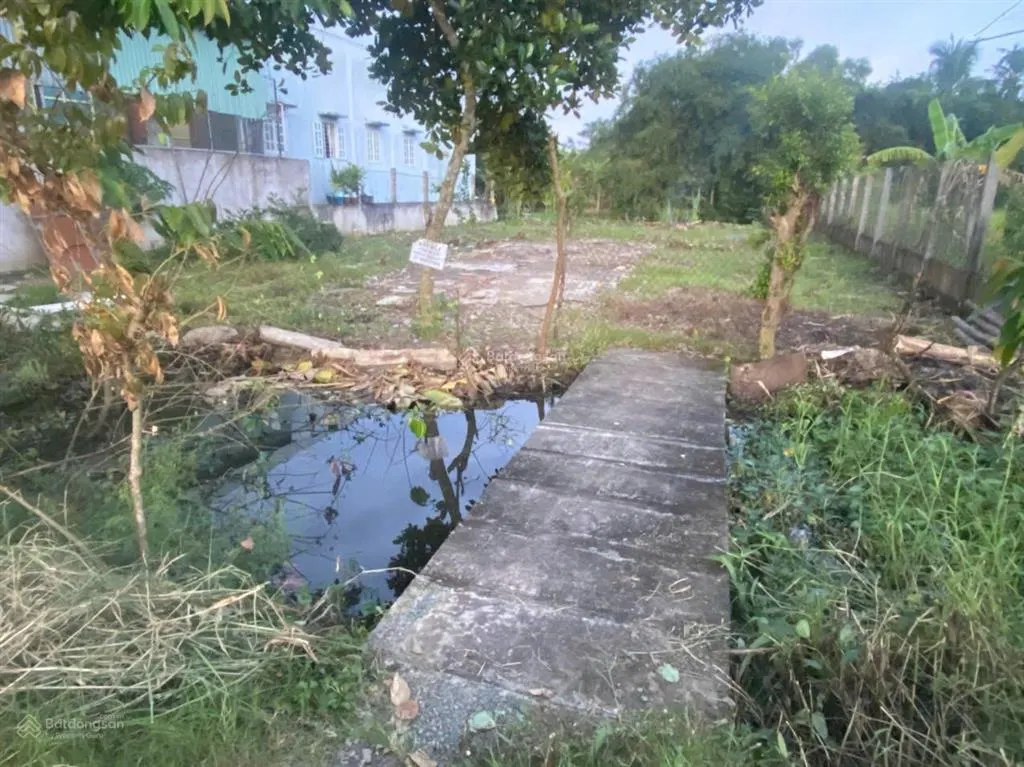 Bán đất mặt tiền trần thị tám, cần giuộc 730m2, ngang 16m, 354m2 thổ cư, giá 5,2 tỷ