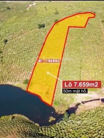 Hơn 7.6 sào, 3 tỉ. đất vườn cà phê mặt hồ, có sẵn nhà, đường ô tô, bảo lâm, lâm đồng