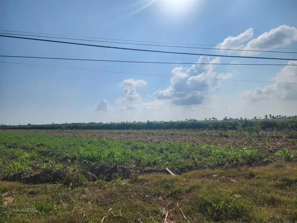 Sang lại 30.000m2 đất sổ riêng có 2 mặt tiền sông cách tỉnh lộ 933b đúng 200m giá 160 triệu/công