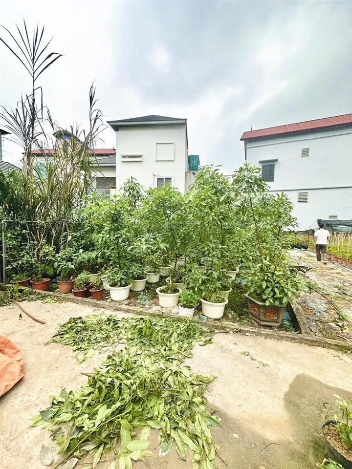 Bán 98m2 đất làng hoa phụng công, mặt tiền hơn 6m