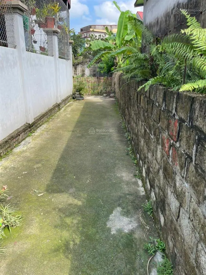Bán gấp đất tại thôn an thọ, xã thanh tân, kiến xương, thái bình, giá 30 triệu / m2, dt 280 m2