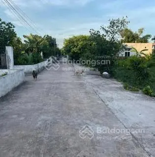 Bán đất tại thôn an thọ, thanh tân, kiến xương, thái bình, 28,2 triệu / m2, 295 m2 full thổ cư