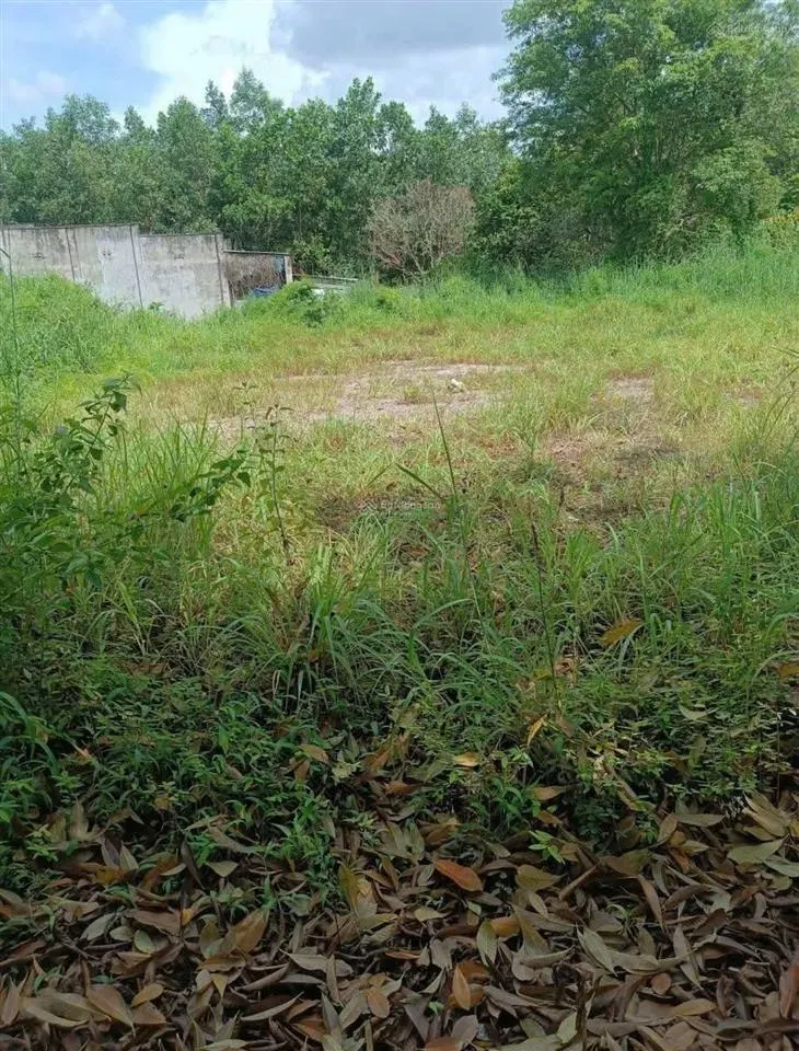 Bán đất tại xã tân hòa, 4,3 tỷ, 1508,5 m2 giá tốt hàng hiếm