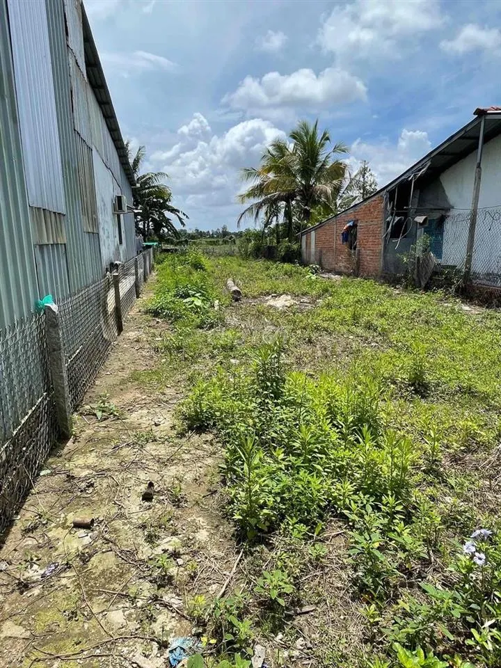 Chuyển nhượng đất phước thới – ô môn | 1.496M² | 248M² thổ cư | giá