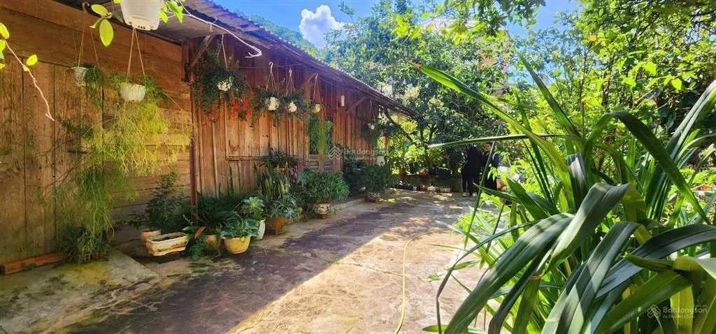 Khuôn đất lớn phường langbiang đà lạt, cách hồ xuân hương 9km mát mẻ trong lành quanh năm
