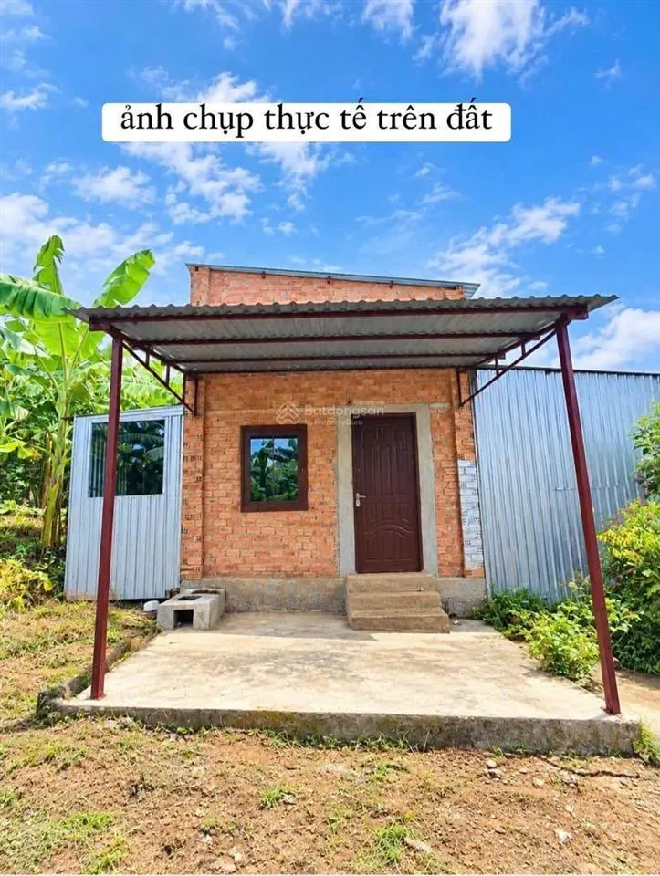 Hoà phú tp bmt dt 2000m2 sẵn nhà cấp 4 đầy đủ điện nước full cà phê cho thu view sông mát mẻ