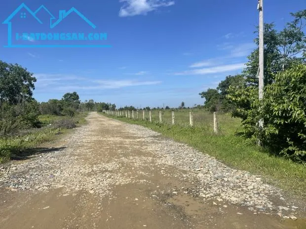 Cho thuê đất cây trồng huyện Hàm Thuận Nam tỉnh Bình Thuận