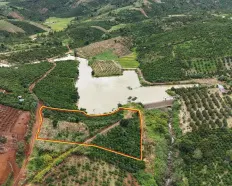 Chủ cần tiền bán gấp lô đất view hồ có sẵn cafe có thu nhập đều, giá đầu tư cực tốt