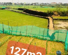 Đất vườn cạnh dân cư và trường học 127m2 QH đất ở, giá 79tr/lô giá hời đảo. Sổ sẵn công chứng ngay