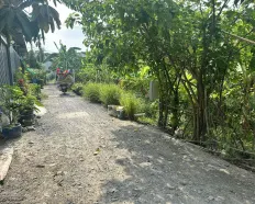 Đất full thổ cư Bình Mỹ, ngang lớn 6,4m giá chỉ 2,5 tỷ