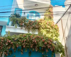 Cho thuê nguyên căn nhà đẹp Nguyễn Hữu Thọ