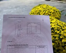 Đất nền dự án Phú Mỹ, lô đường hoa đẹp ko cống tủ, đường trước 13,5 bên hông 4m, 125m2 giá 2tỷ050