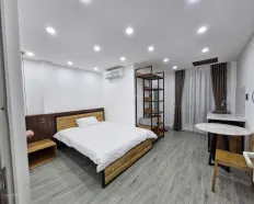 Bán nhà kiệt ô tô thông Trương Chí Cương, gần CC Masterise, dòng tiền 25 tr/th. Nhỉnh 7 tỷ