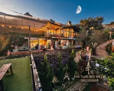 1.800m2 Cơ hội đầu tư / kinh doanh homestay sở hữu quần thể nghỉ dưỡng view cực chill tại Đà Lạt