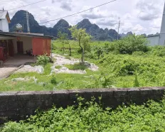 Chính chủ bán gấp giá cực rẻ mảnh 250m2 full thổ cư An Phú, đường ô tô tránh nhau