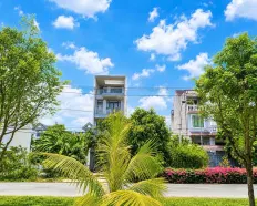 Đất mặt tiền KDC Đại Phúc - Nguyễn Văn Linh - 5m x 20m - xây 5tầng - đối diện công viên - Chỉ 7Đ9
