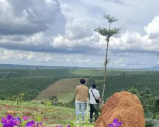 Chính chủ kẹt tiền bán gấp lô đất Lộc An
