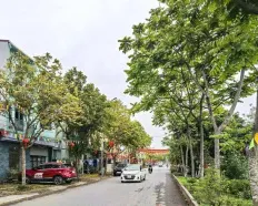Siêu phẩm ngọc hồi, thanh trì, hà nội 112m mặt đường đại hưng giá 16,5 tỷ vị trí mặt đường