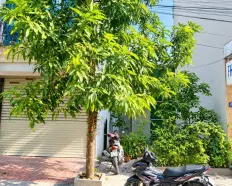 Bán gấp mảnh đất dịch vụ Vạn Phúc 50m2-13.8 Tỷ-Phân lô vỉa hè-Ô tô tránh-Kinh doanh-Sổ đỏ chính chủ