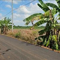 Bán lô đất đẹp rẻ nhất láng lớn, 8 sào, 118m mặt đường nhựa, chỉ 8.5 tỉ