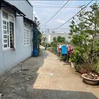 Sốc Bán gấp lô đất 95m² cso thổ cư tại I Phú Hữu – nhơn trạch - sổ hồng riêng - giá mềm