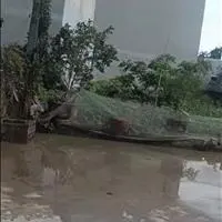 Bán lô đất 52m2 tại Bắc Sơn An Dương Hải Phòng