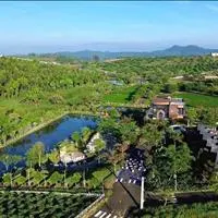 Làng OMM Bảo Lộc – Không Gian Nghỉ Dưỡng Giữa Thiên Nhiên