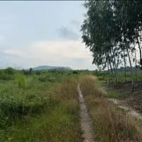 GẦN 9.000M² chỉ 800 triệu! Ngay chuỗi 7 KCN phía nam, Tân Minh - Lâm Đồng