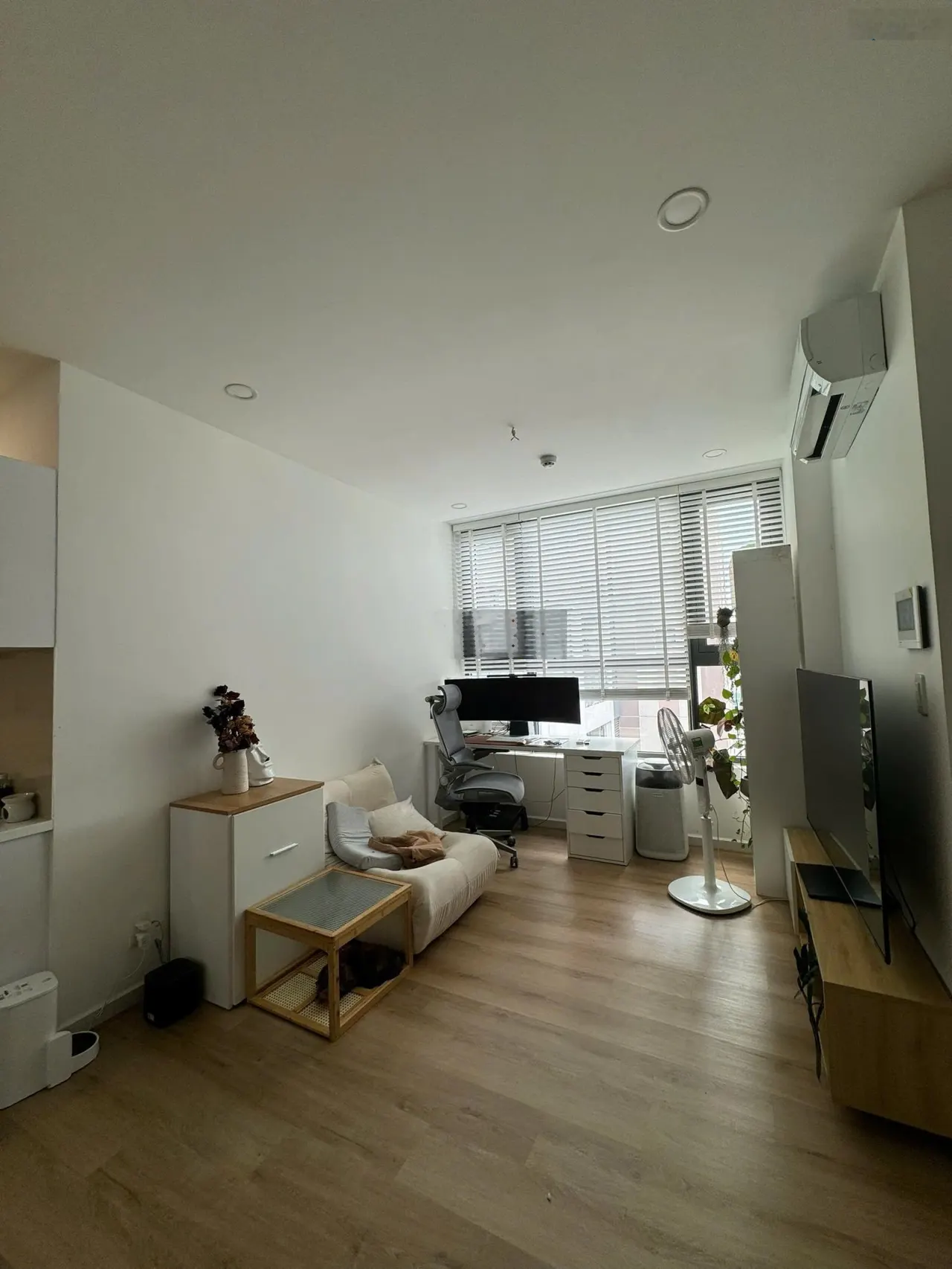 Nổi bật cho thuê D’Lusso Quận 2 từ 9tr full NT studio, 1PN - 11,5 tr, 2 PN từ 13,5, 3PN từ 17tr