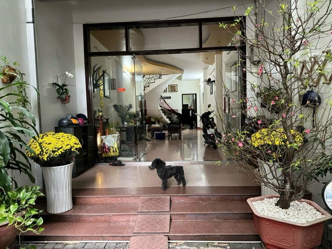 Cho thuê nhà mặt tiền đường Quang Trung, gần Đại học Duy Tân - Trung tâm hành chính thành phố