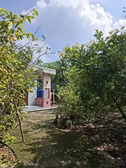 Bán nhà riêng tỉnh Vĩnh Long, khu vực yên tĩnh, thích hợp cho khách không thích ồn ào, muốn nghỉ dưỡng