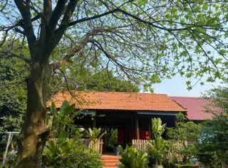 Cho thuê 20.000m đất mặt tiền Vườn Thơm, Bình Chánh