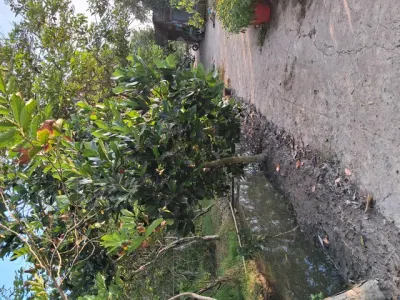 Bán đất cây lâu năm phường cái răng mới. Giá từ 2tr5-3tr/m2