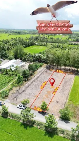 Bán Đất 300m² giá 490 triệu tại Đường Tỉnh lộ 909 Xã Ngãi Tứ Vĩnh Long